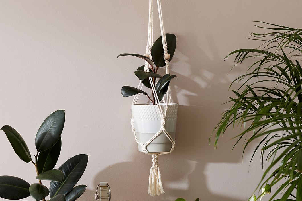 Hang Time DIY Macramé Plant Pot Hanger