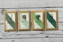Literary Seeds - Packs of seeds