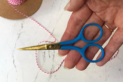 Chasing Threads Pink Embroidery Scissors – Hatch Goods