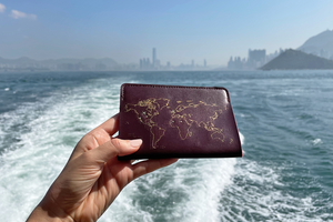 Stitch Passport Cover - Maroon – Chasing Threads